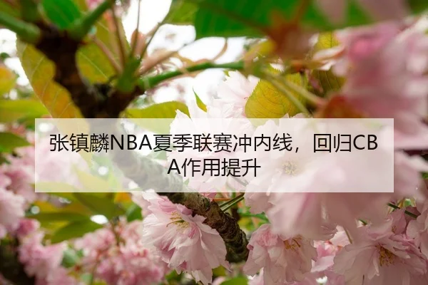 张镇麟NBA夏季联赛冲内线，回归CBA作用提升