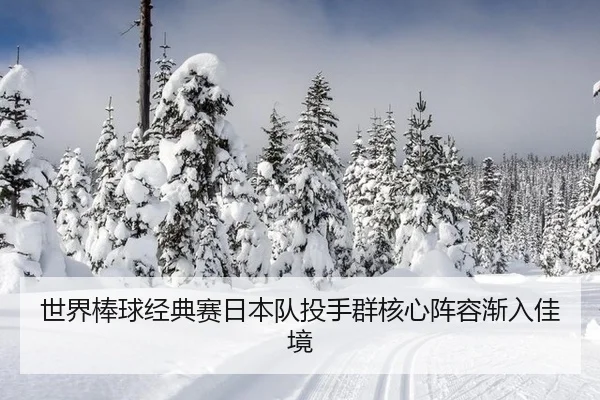 shi-jie-bang-qiu-jing-dian-sai-ri-ben-dui-tou-shou-qun-he-xin-zhen-rong-jian-ru-jia-jing-2-789.jpg